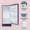 Samsung 189 L 5 Star Direct Cool Single Door Refrigerator RR21C2H25S8/HL