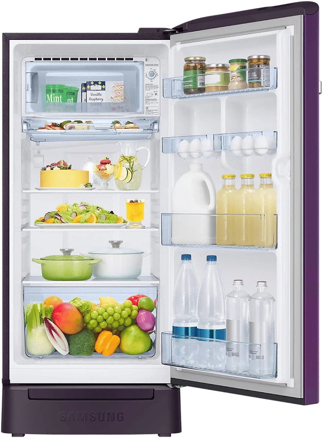 Samsung 189 L 5 Star Direct Cool Single Door Refrigerator RR21C2H25S8/HL